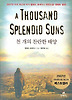 천 개의 찬란한 태양