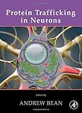 Protein Trafficking in Neurons