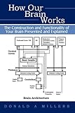 How Our Brain Works: The Construction and             Functionality of Your Brain Presented and Explained