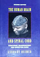 Human Brain and Spinal Cord: Functional Neuroanatomy and Dissection Guide