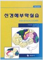 신경해부학실습