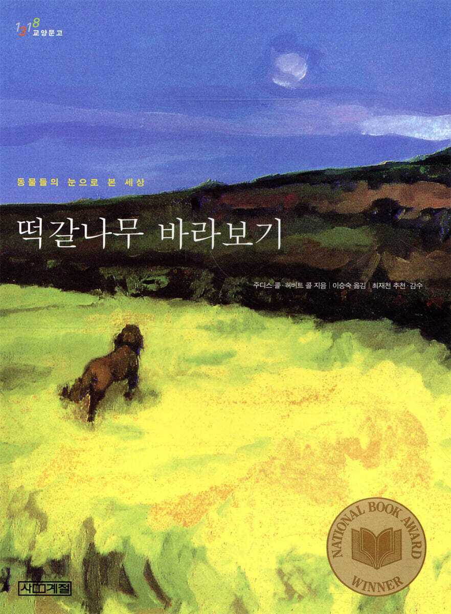 떡갈나무 바라보기