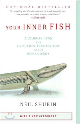 Your Inner Fish