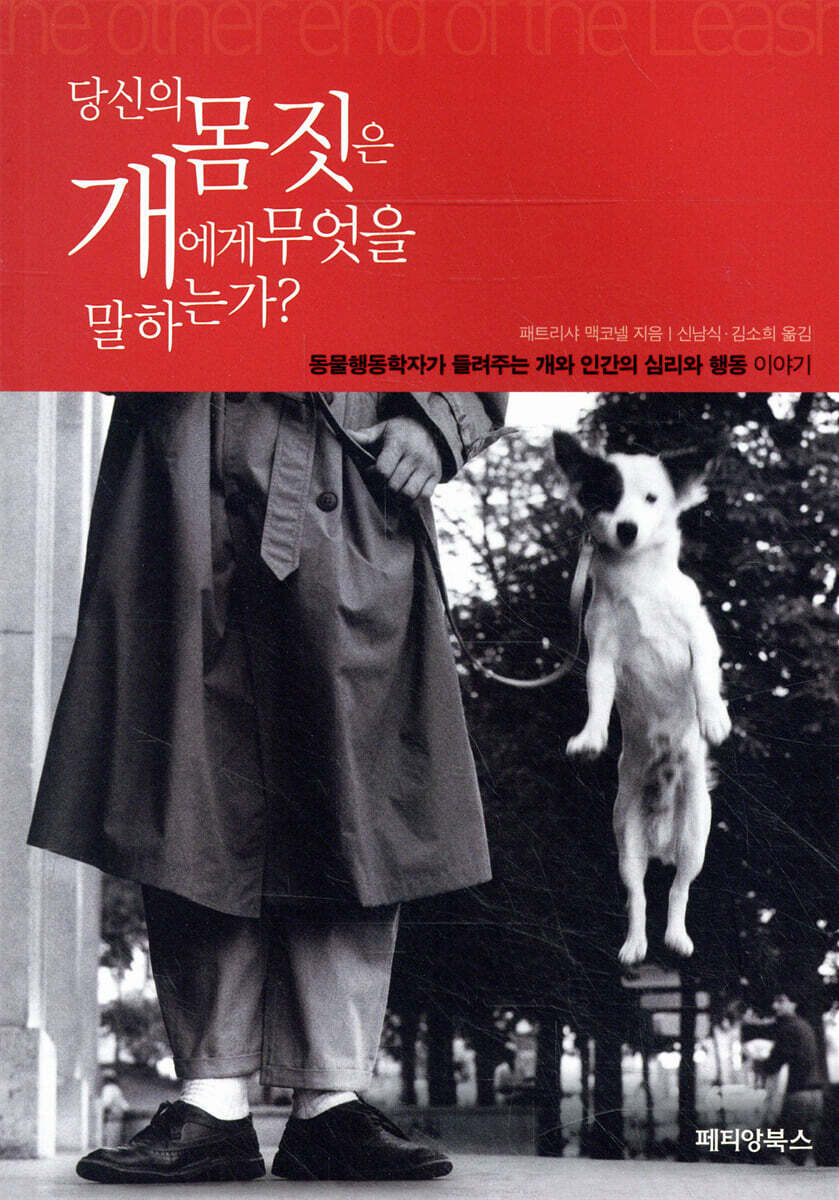 당신의 몸짓은 개에게 무엇을 말하는가?