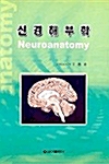 신경해부학